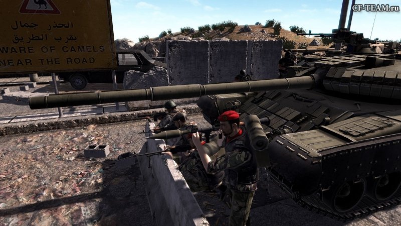 Скриншоты Call to Arms